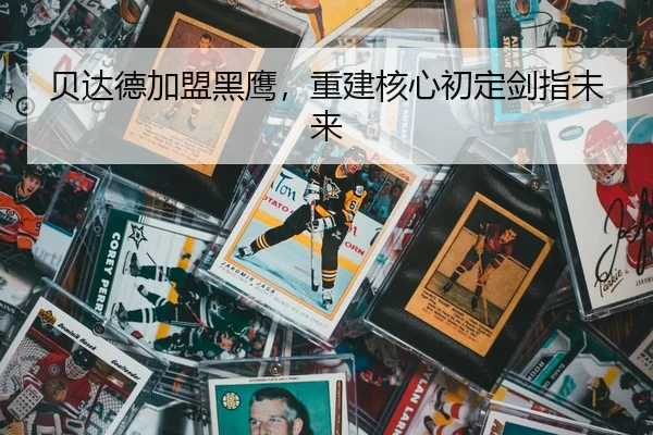 贝达德加盟黑鹰，重建核心初定剑指未来